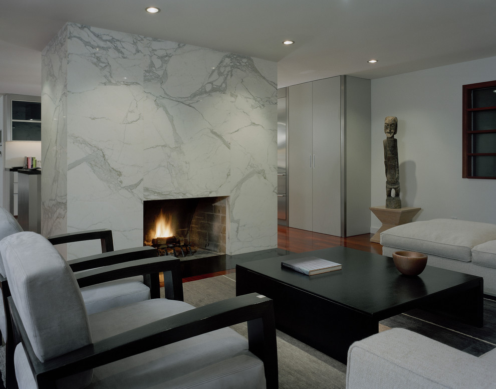 Marble Fireplace Hearth Living Room Contemporary with Black Coffee Table Fireplace