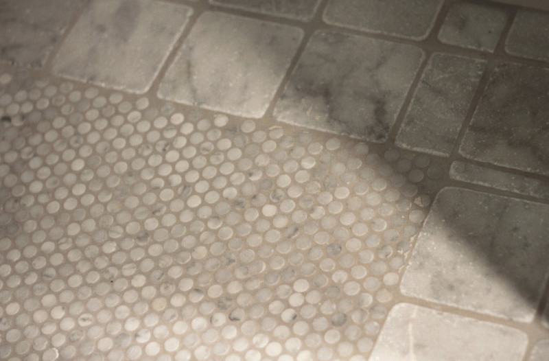 Marble Penny Tile Spaces Transitional with Bathroom Carrara Shower Floor