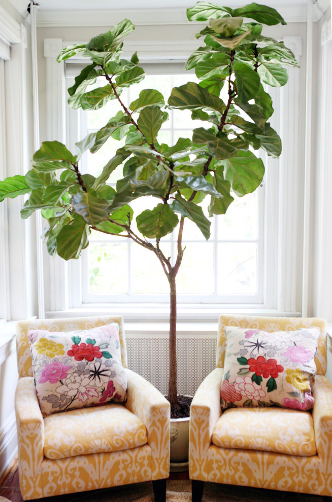 Master Bedroom Furniture Family Room Traditional with Colorful Fig Tree Living