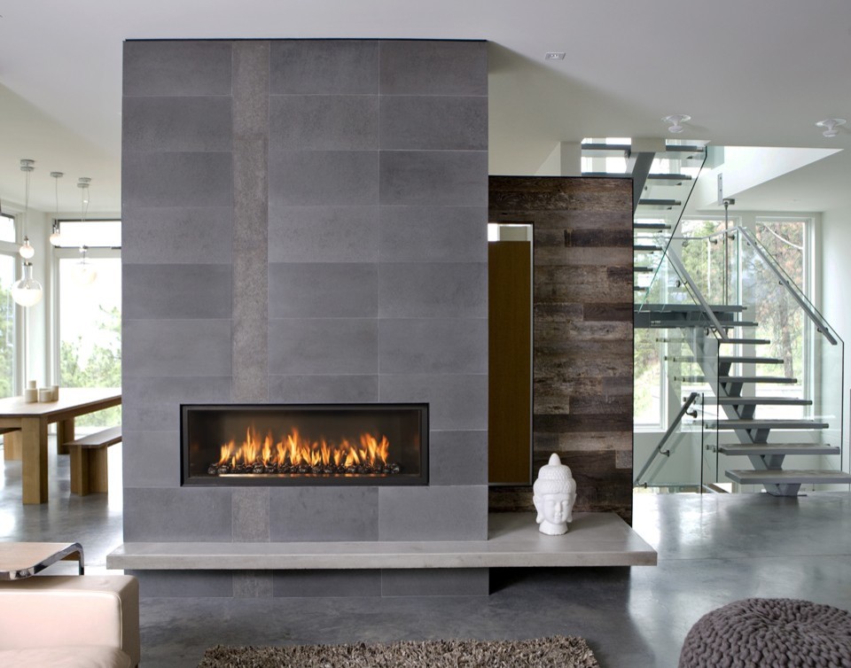 Modern Fireplace Inserts Living Room Modern with Contemporary Fireplace Design Contemporary