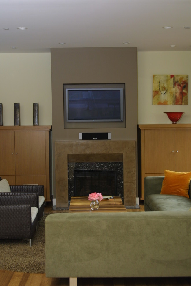 Modern Fireplace Screens Family Room Contemporary with Fireplace 