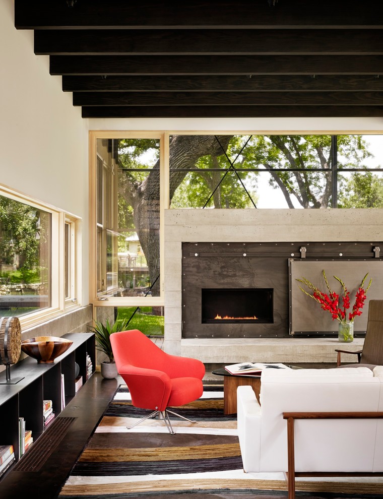 Modern Fireplace Screens Living Room Contemporary with None 
