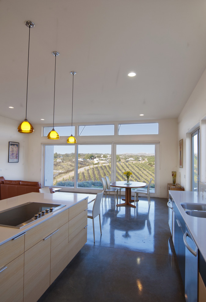 Modern Kitchen Cabinet Handles Kitchen Modern with Bamboo Cabinets Concrete Floor