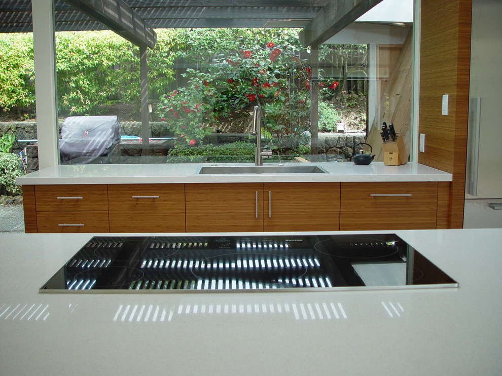 Modern Kitchen Sinks Kitchen Midcentury with Bamboo Cabinets Bamboo Kitchen