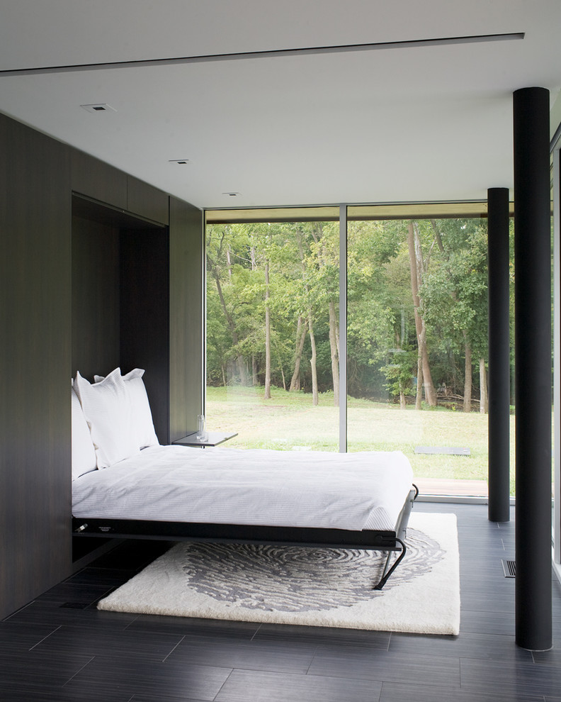 Modern Murphy Bed Bedroom Contemporary with Area Rug Bedroom Storage