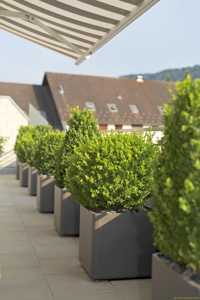 Modern Outdoor Planters Patio Contemporary with Large Planters Large Square