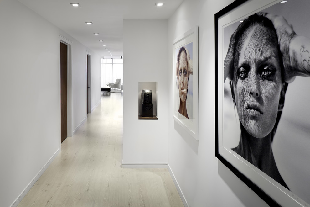 Modern Recessed Lighting Hall Contemporary with Alcove Black and White
