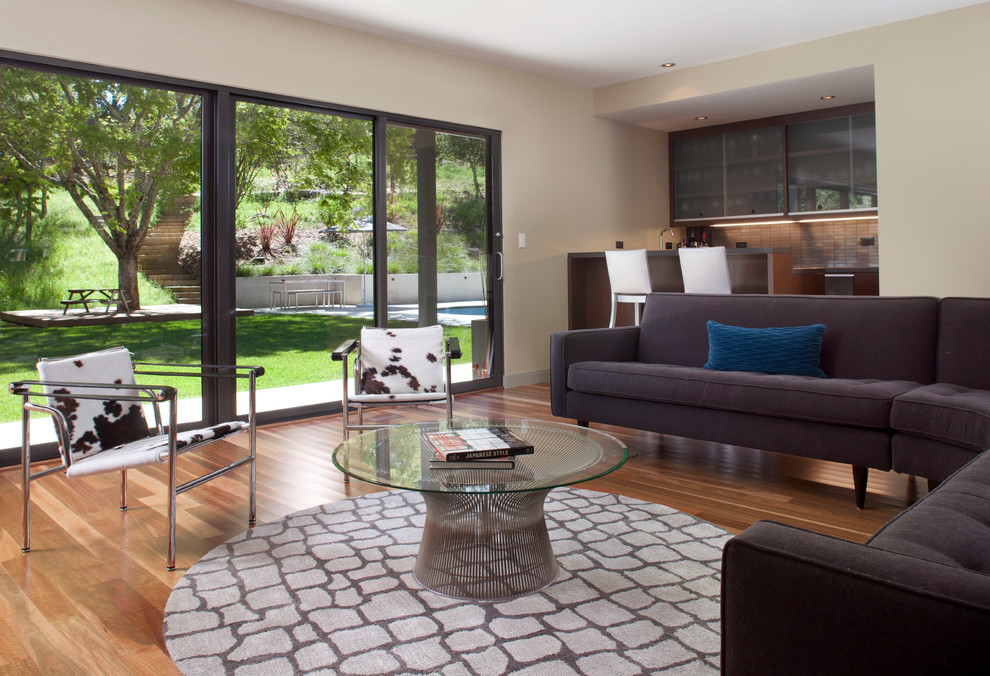 Modern Room Dividers Living Room Contemporary with Aluminum Sliding Door Black
