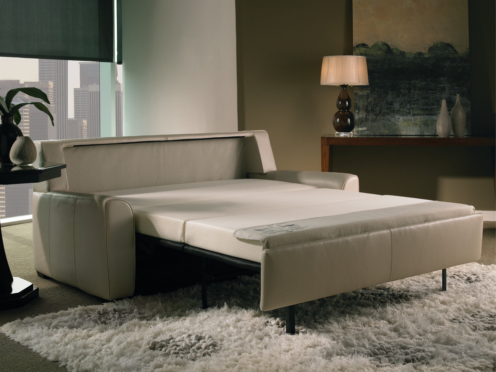 Modern Sleeper Sofa Family Room Contemporary with American Leather Comfort Sleeper1