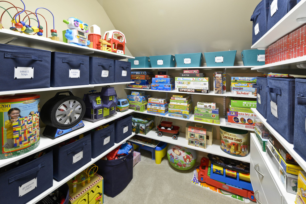 Modern Toy Storage Closet Contemporary with Blue Storage Bins Carpeting