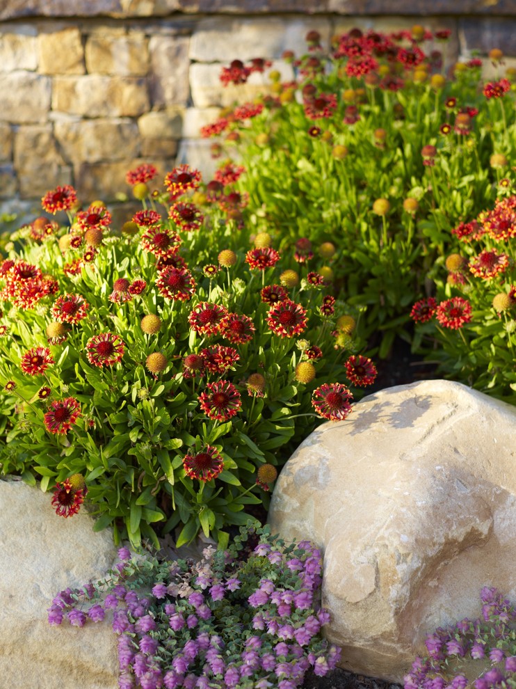 Orange Throw Blanket Landscape Mediterranean with Boulder California Garden Groundcover