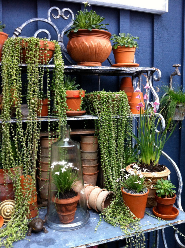 Outdoor String Lighting Ideas Landscape Traditional with Bakers Rack Cloche Jar