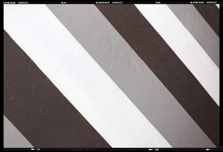 Painted Cement Floors Spaces with None 