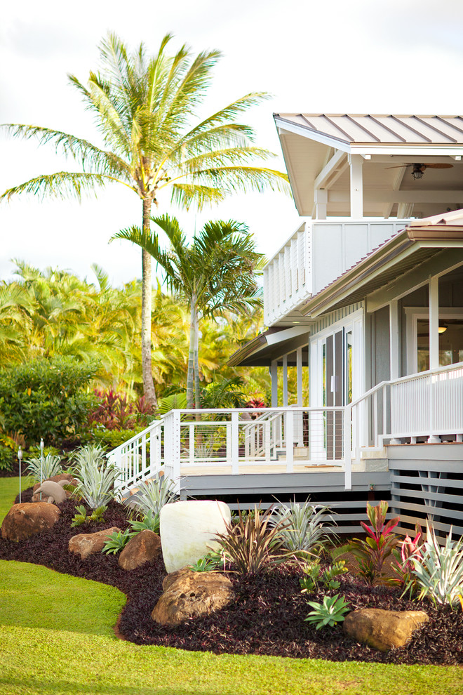 Palm Tree Landscaping Landscape Tropical with Boulder Landscape Boulders Bushes