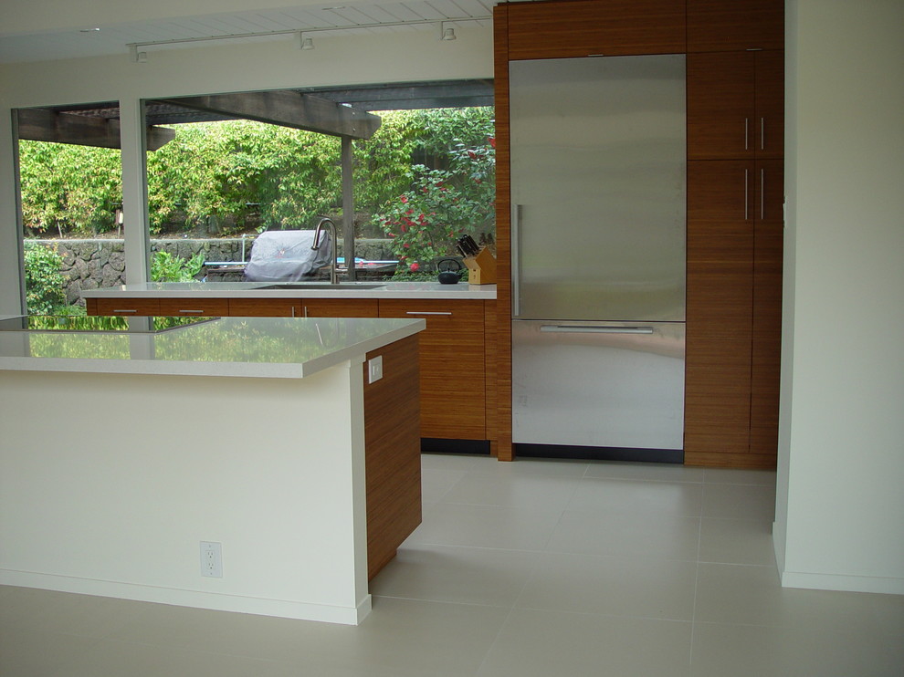 Pictures of Quartz Countertops Kitchen Modern with Eichler Horizontal Bamboo Stainless