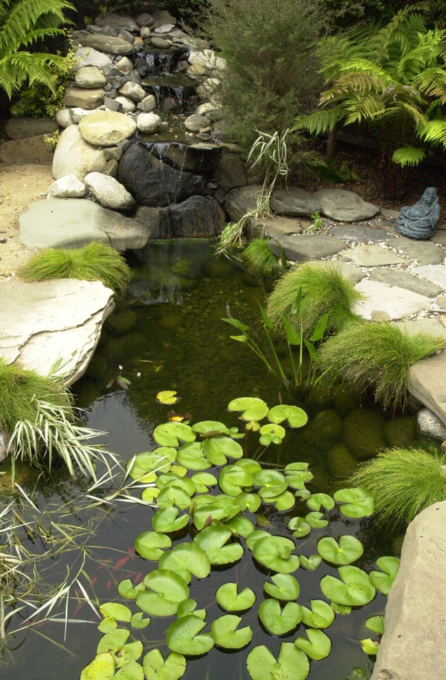 Ponds and Waterfalls Landscape Asian with None 