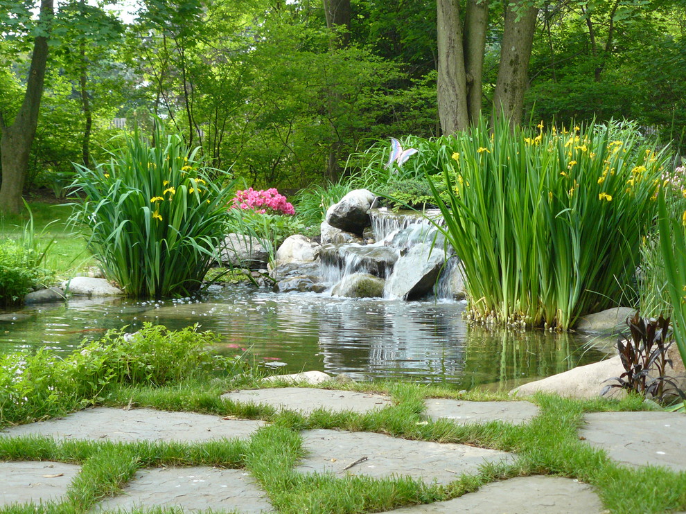 Ponds and Waterfalls Landscape Eclectic with Aquatic Garden Cottage Garden