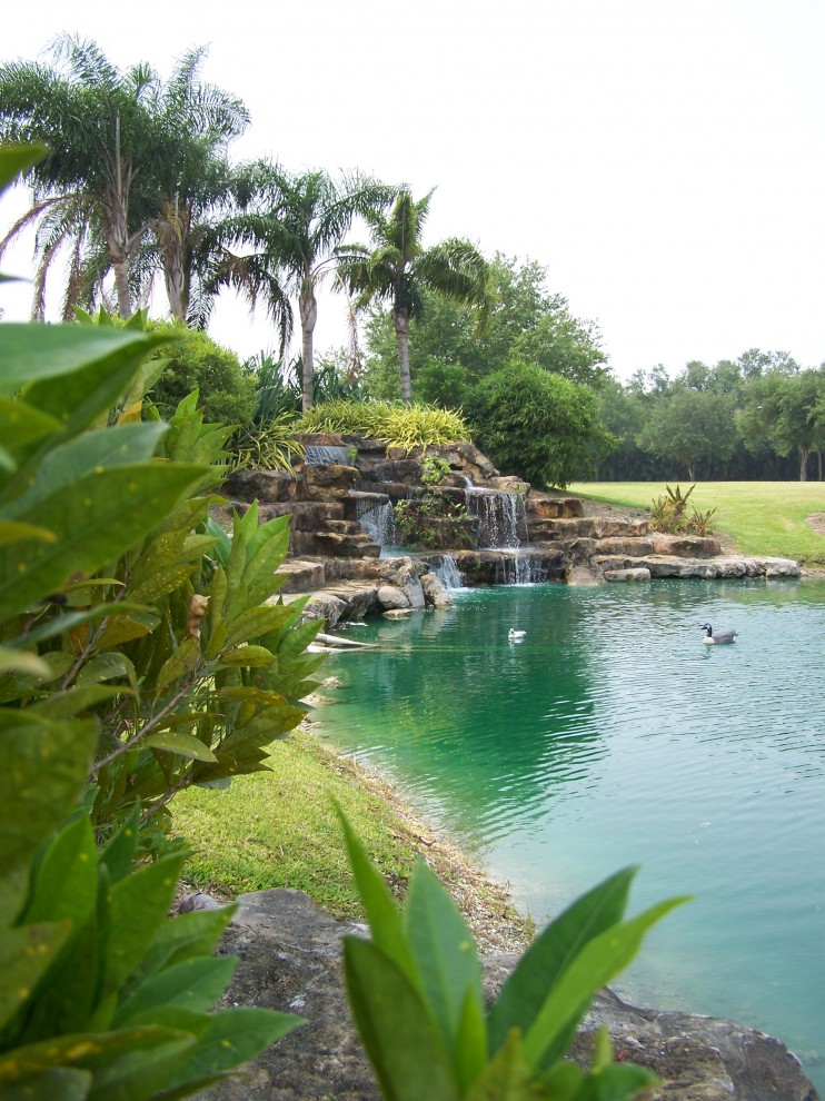 Ponds and Waterfalls Landscape Tropical with Boulder Grass Lawn Palm