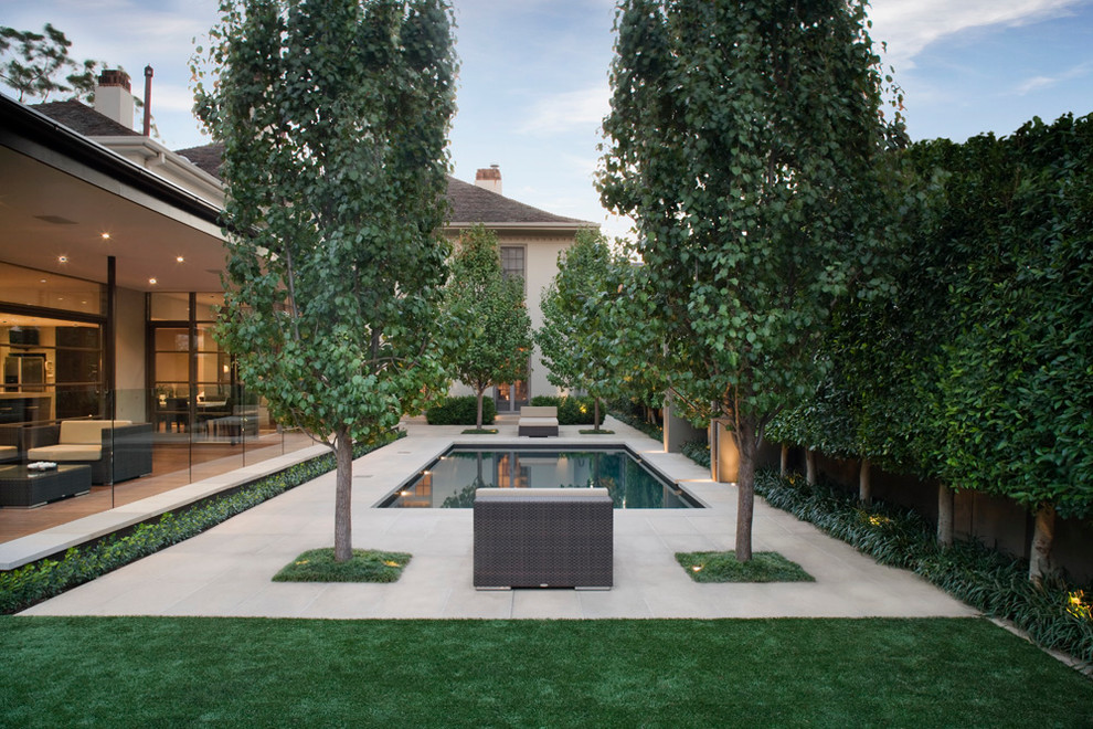 Pool Fence Ideas Landscape Modern with Alle Backyard Grass Landscape