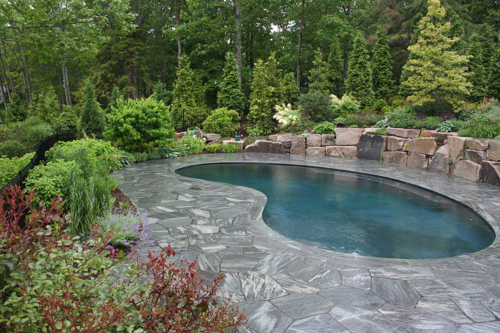 Pool Plaster Colors Pool Traditional with Boulders Evergreens Hillside Pavers