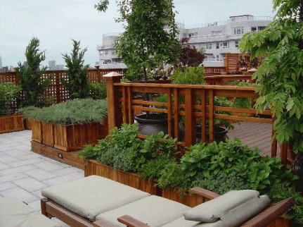 Privacy Deck Railing Patio Traditional with Arts and Crafts Balcony