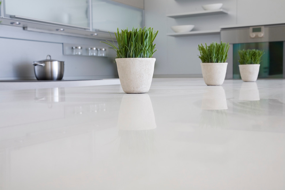 Quartz Counter Tops Kitchen Contemporary with None 