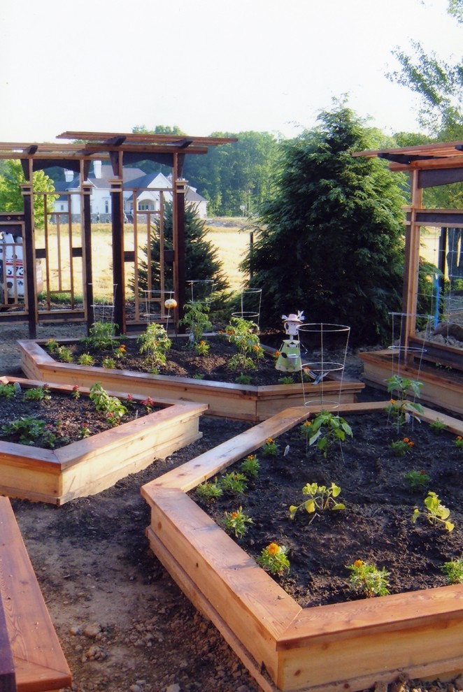 Raised Bed Garden Pictures Landscape Craftsman with Backyard Gardening Dirt Path
