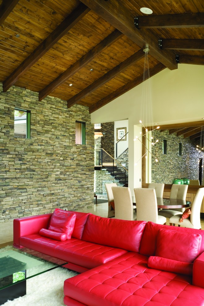 Red Leather Couch Living Room Contemporary with Area Rug Bamboo Built