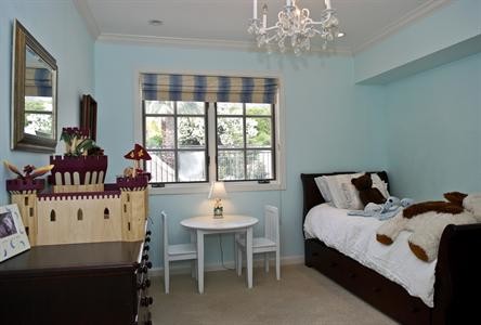 Robin Egg Blue Paint Kids Traditional with Boys Room Classic Kids