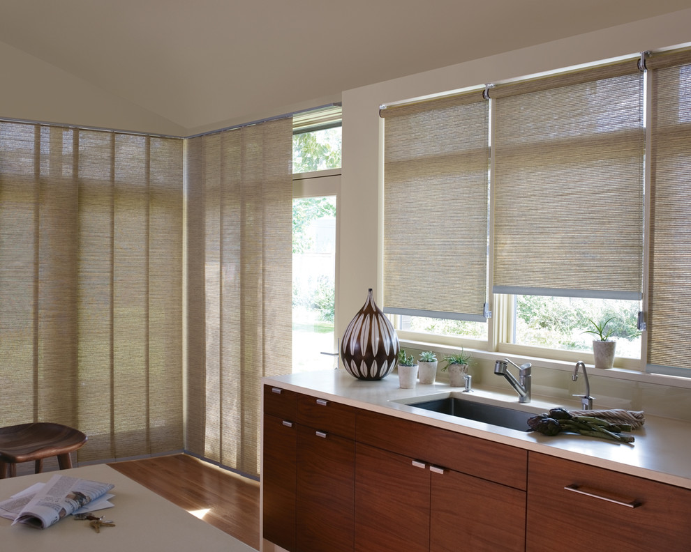 Roman Shades for Patio Doors Spaces Eclectic with Hunter Douglas Patio Door2