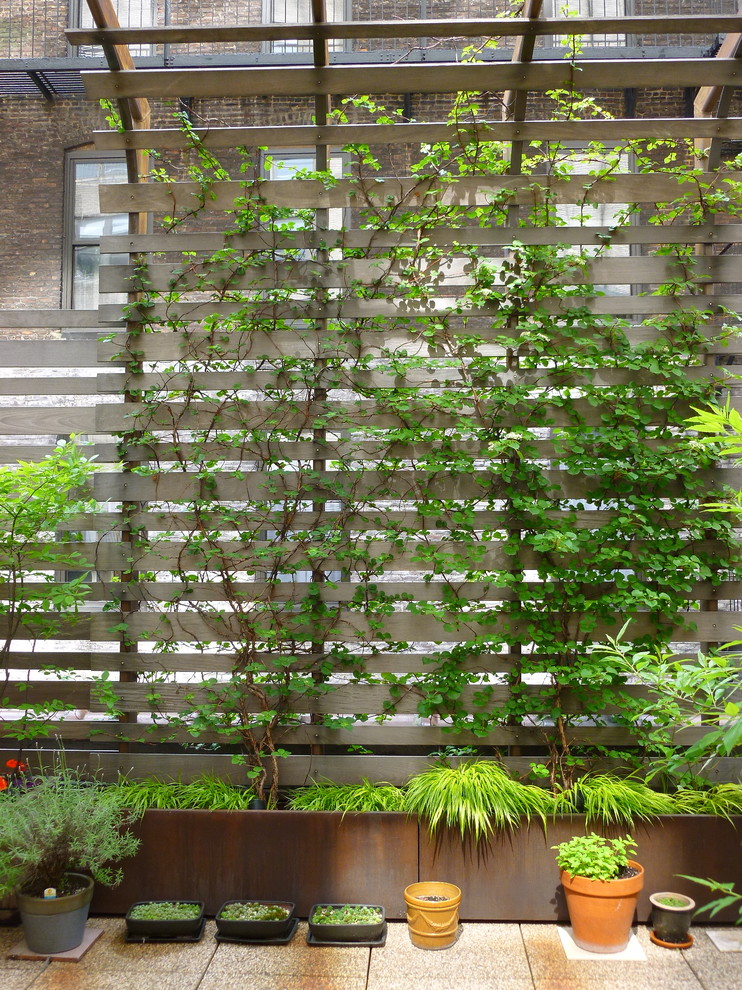 Screened in Patio Ideas Patio Contemporary with Green Roof Ipe Roof