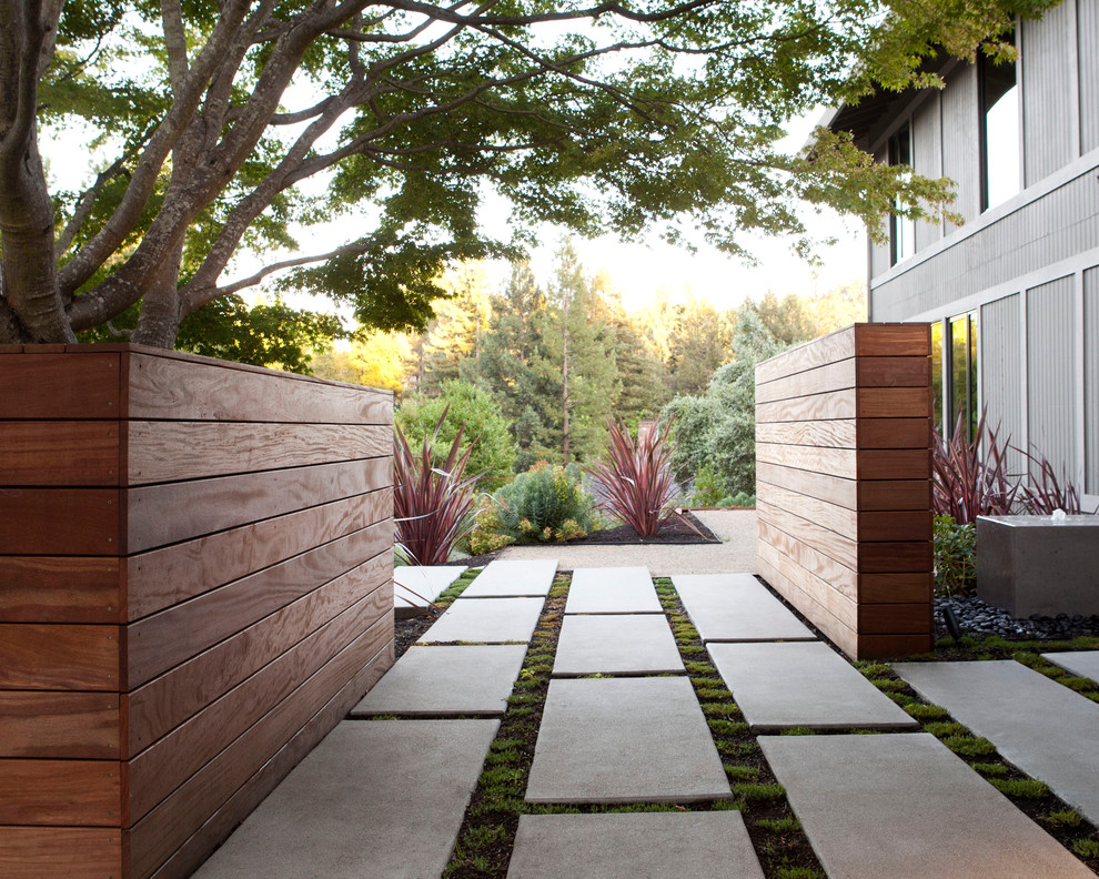 Shadow Box Fence Landscape Contemporary with Concrete Fountain Concrete Paver