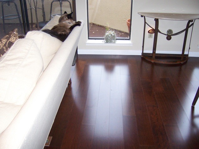 Shower Curtain Ideas Living Room Traditional with Chestnut Hardwood Exotic Hardwood