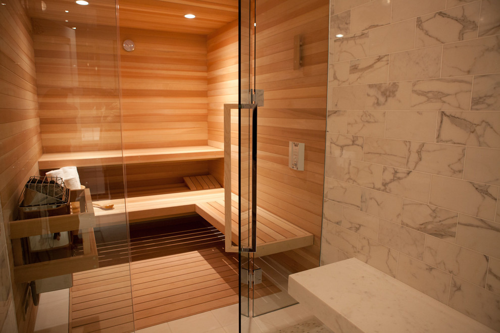 Shower Sauna Combo Bathroom Contemporary with None 