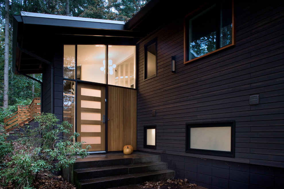 Siding Color Ideas Entry Midcentury with Concrete Stairs Contemporary Dark