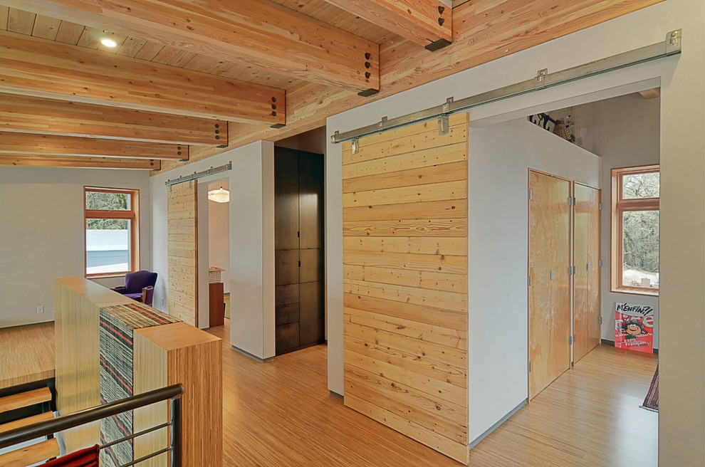 Sliding Door Ideas Hall Contemporary with Barn Doors Closets Glulam