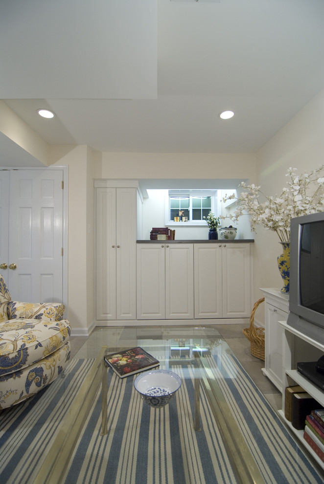 Small Basement Remodeling Ideas Basement Traditional with Area Rug Built In