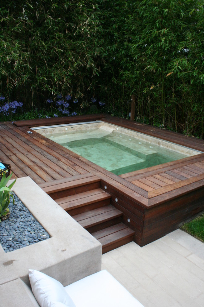 Small in Ground Pools Pool Contemporary with Agapanthus Bamboo Built In
