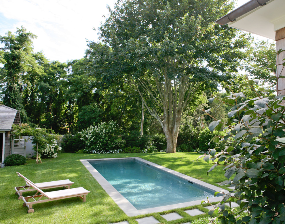 Small Inground Pools for Small Yards Pool Traditional with Beach House Bushes Chaise