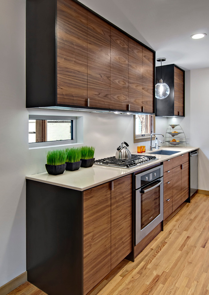 Small Kitchen Remodels Kitchen Contemporary with Flat Panel Cabinets Framed