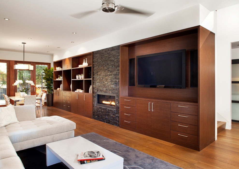 Small Space Furniture Living Room Contemporary with Entertainment Cabinet Residential Remodel