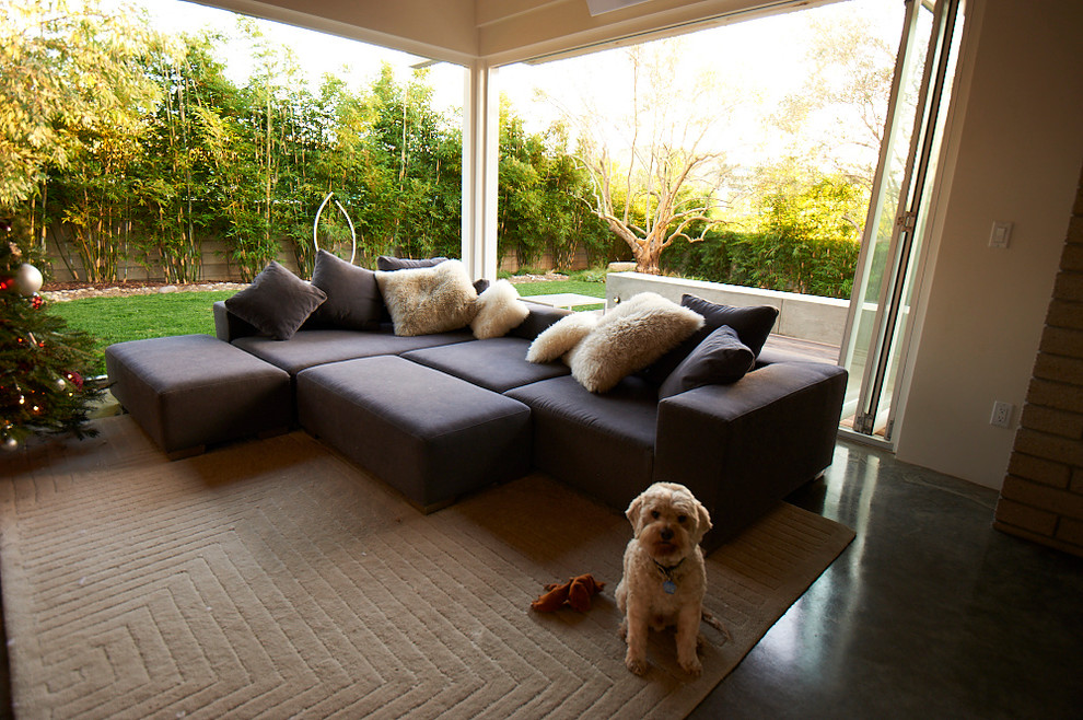 Sofa Cum Bed Living Room Modern with Bamboo Beach Cardiff Concrete