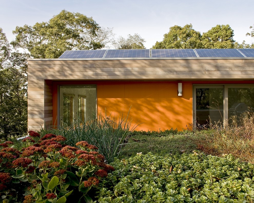 Solar String Lights Outdoor Exterior Modern with Cedar Siding Fiber Cement