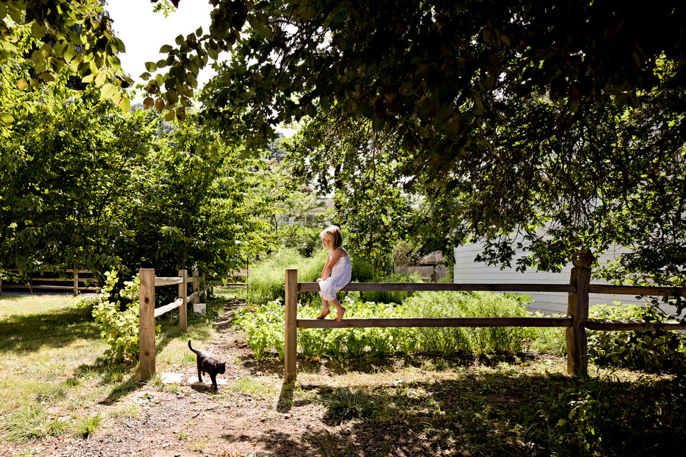 Split Rail Fence Landscape Farmhouse with Cat Charming Garden Rural