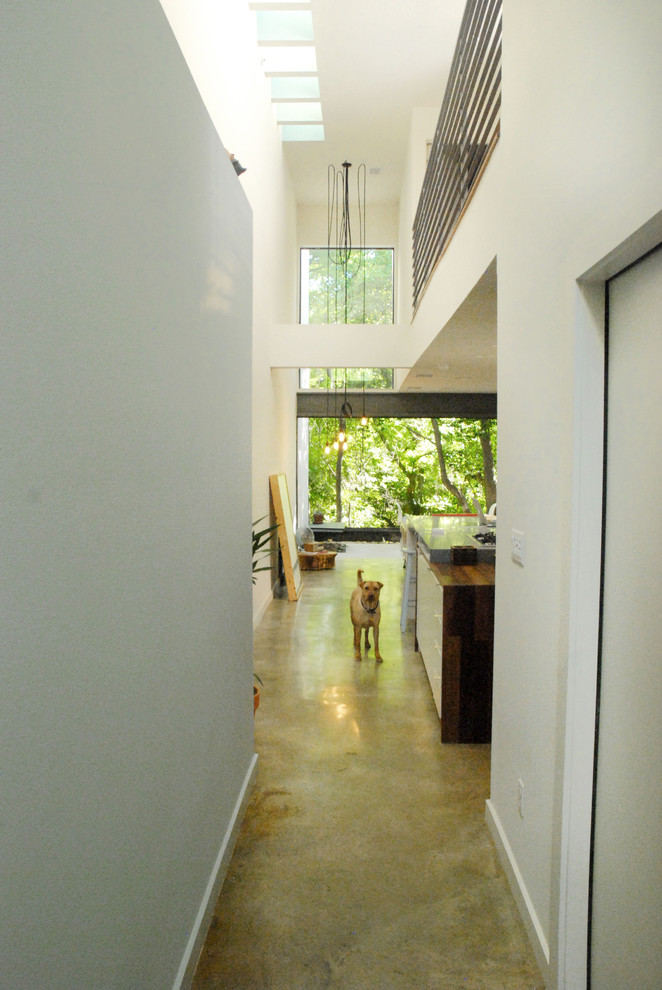Stained Concrete Floors Hall Modern with None 