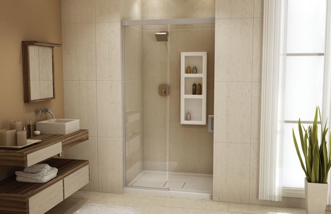 Stand Alone Showers Bathroom Transitional with Stand Alone Shower 