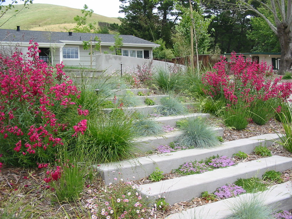 Steps to Finishing a Basement Landscape Contemporary with Concrete Paving Entrance Entry