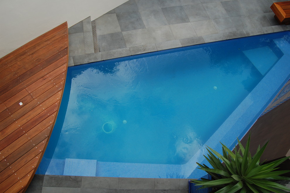Swimming Pools for Small Yards Pool Modern with Plunge Pool Small Swimming1