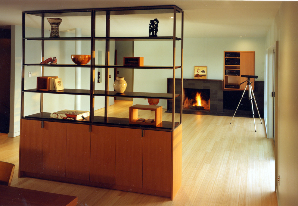 Tall Room Dividers Living Room Modern with Bookshelves Light Wood Floors
