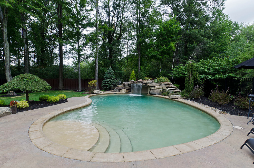 Tampa Bay Pools Pool Traditional with Backyard Renovation Boulders Concrete